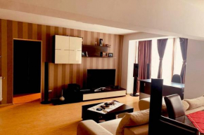 Cozy 2 rooms apartment close to city center